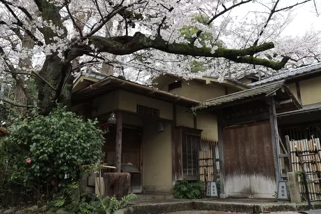  上野公園完全指南，園內14項設施與看點大解說