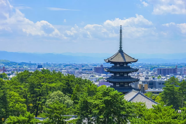 How to Travel to Nara From Tokyo: The Fastest and Cheapest Ways