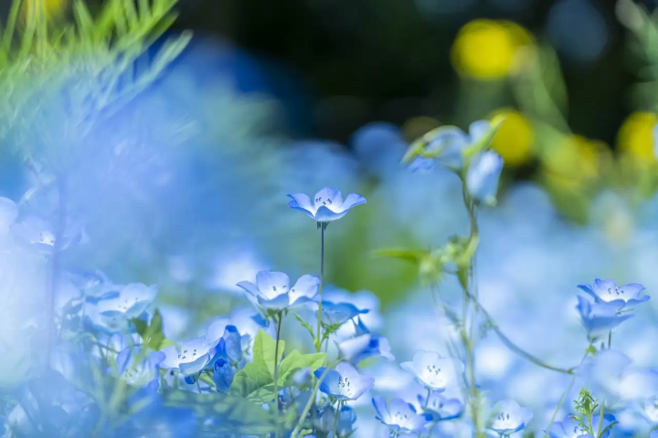 5 Places Across Japan Where You Can Meet Godzilla