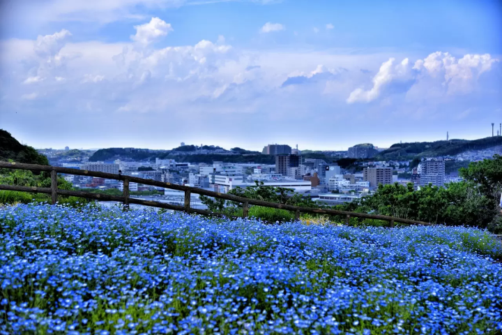 5 Places Across Japan Where You Can Meet Godzilla
