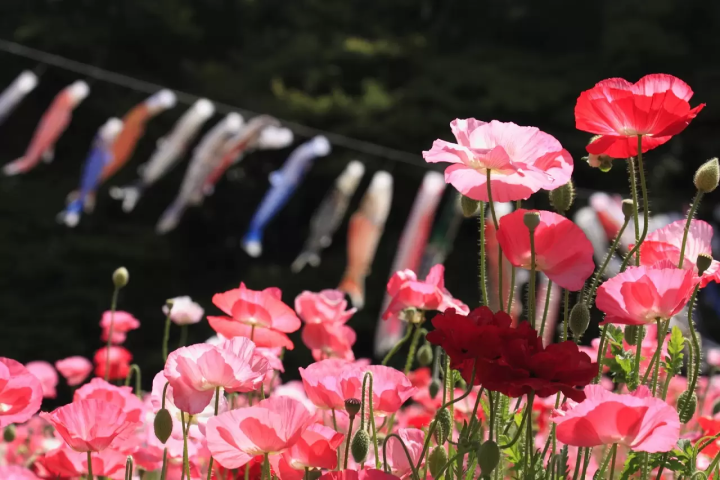 5 Places Across Japan Where You Can Meet Godzilla