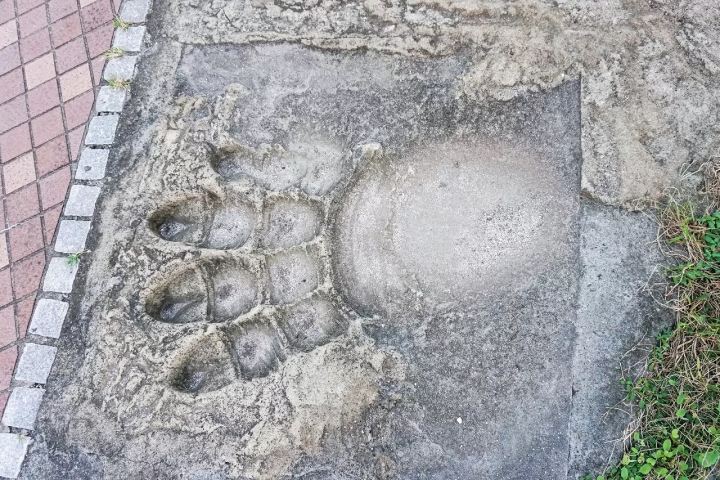 5 Places Across Japan Where You Can Meet Godzilla