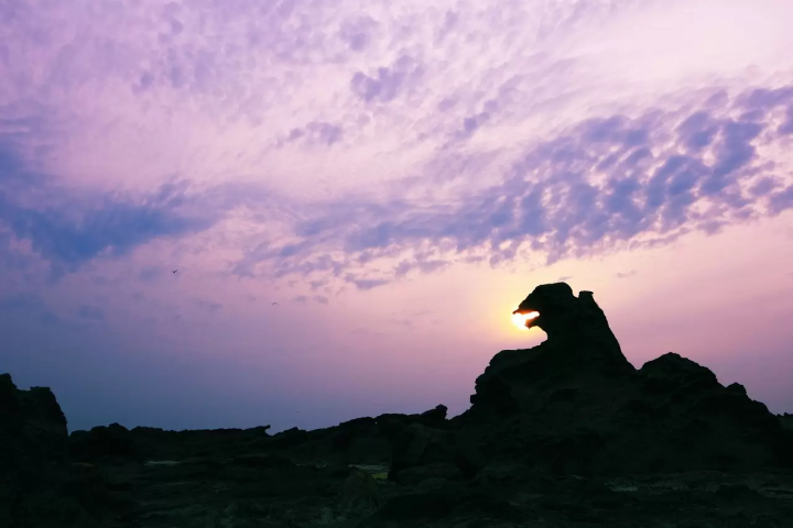 5 Places Across Japan Where You Can Meet Godzilla