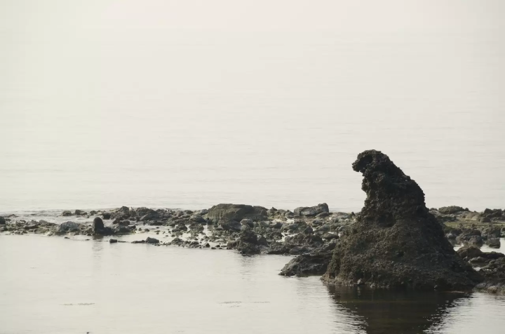 5 Places Across Japan Where You Can Meet Godzilla
