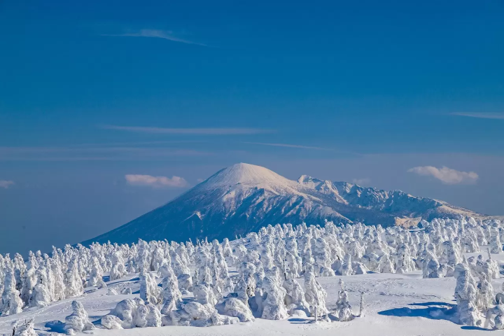 5 Places Across Japan Where You Can Meet Godzilla