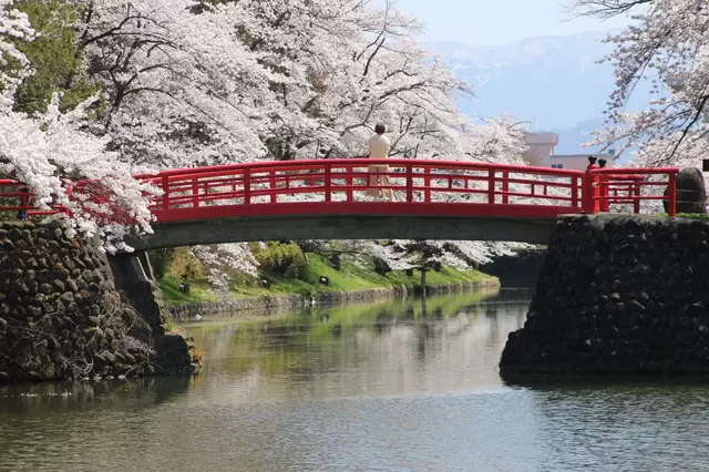 【山形】阿信的故鄉!山形必去觀光景點-銀山溫泉、蔵王絕景、山寺&美食