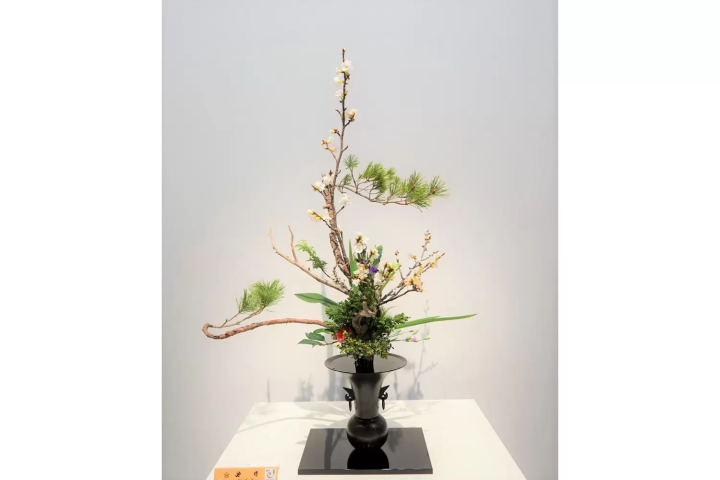 20 Little-Known Kyoto Spots: Hidden Gems Worth Visiting