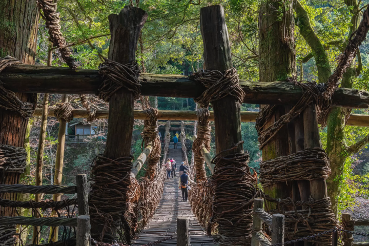 祖谷のかずら橋