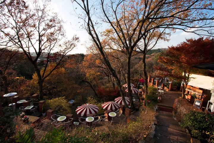 Kamakura Travel Guide: Top 20 Spots, Sightseeing Tips, and More