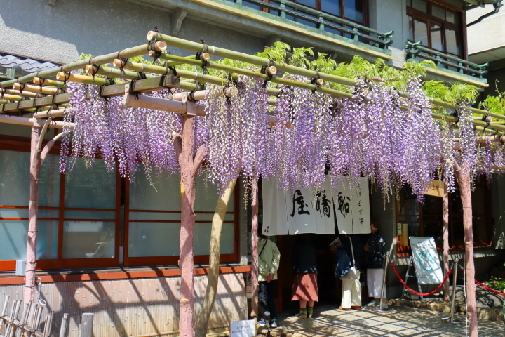 【龜戶】東京龜戶最完整介紹！住宿購物、賞藤花、拍晴空塔、吃下町美食都很方便！