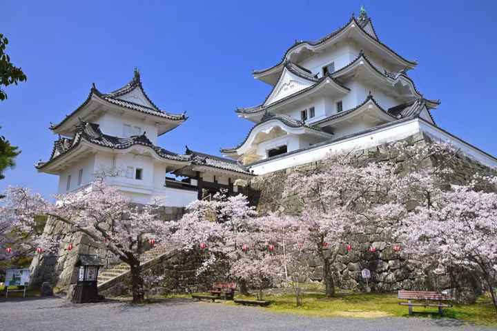 Iga Ueno Castle