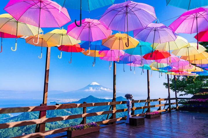 Japan's Rainy Season 2023: Basic Information and What to Wear