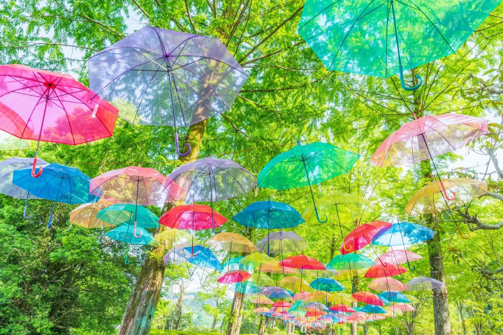 Light Up This Rainy Season! 3 Enchanting Umbrella Sky Events Near Tokyo