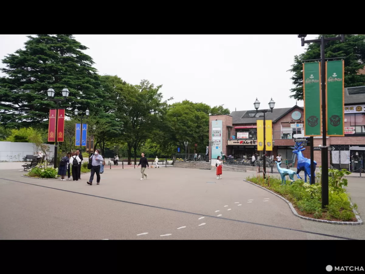 【東京】哈利波特迷看過來！全球最大「哈利波特影城」門票/交通/場景/周邊一次看