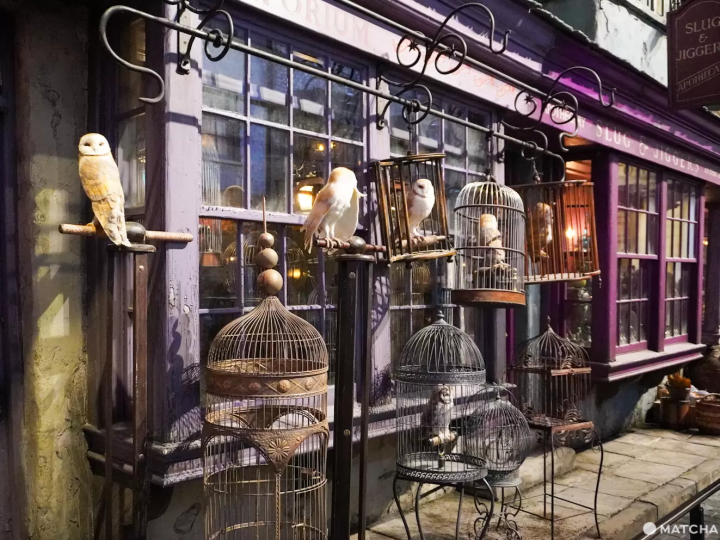 【東京】哈利波特迷看過來！全球最大「哈利波特影城」門票/交通/場景/周邊一次看