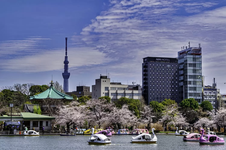 【東京交通】JR山手線完全攻略！環繞東京都內景點、搭乘方式、注意事項一次看