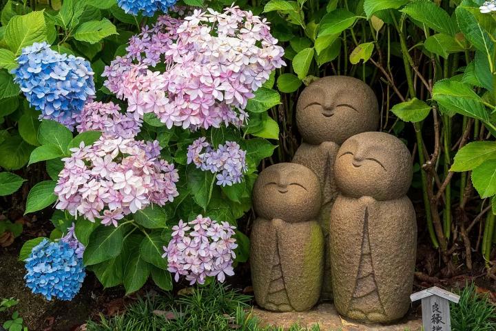 10 Splendid Hydrangea Spots around Tokyo: Visit in June!