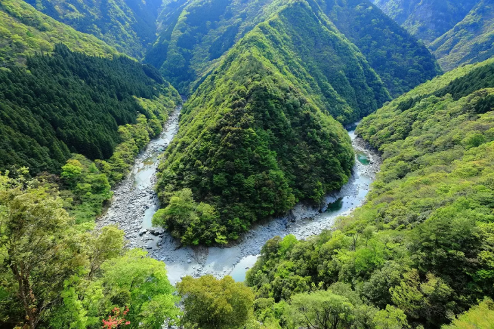 Tokushima: 12 Sightseeing Spots, Food, and Events for 2023!