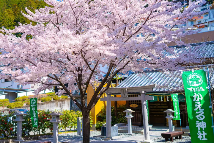 【名古屋】溫泉美人湯療癒身心的泡湯時光！溫泉旅館＆日本三大名湯「下呂溫泉」旅館10選