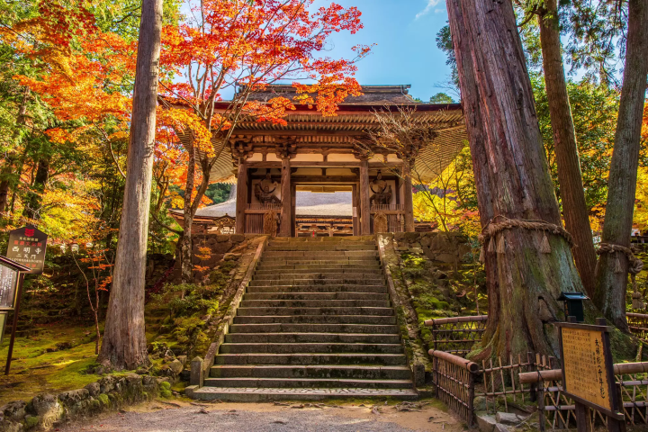 【2023】距離大阪京都超近的滋賀觀光景點・祭典和美食大集合