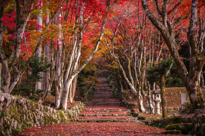 【2023】距離大阪京都超近的滋賀觀光景點・祭典和美食大集合