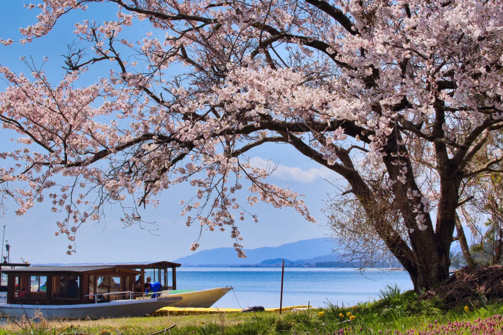 【2023】距離大阪京都超近的滋賀觀光景點・祭典和美食大集合