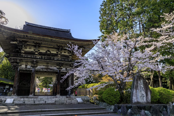【2023】距離大阪京都超近的滋賀觀光景點・祭典和美食大集合