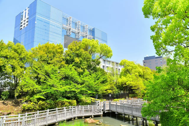 Odaiba Travel Guide: 15 Must Do Things in Tokyo's Best Entertainment Spot