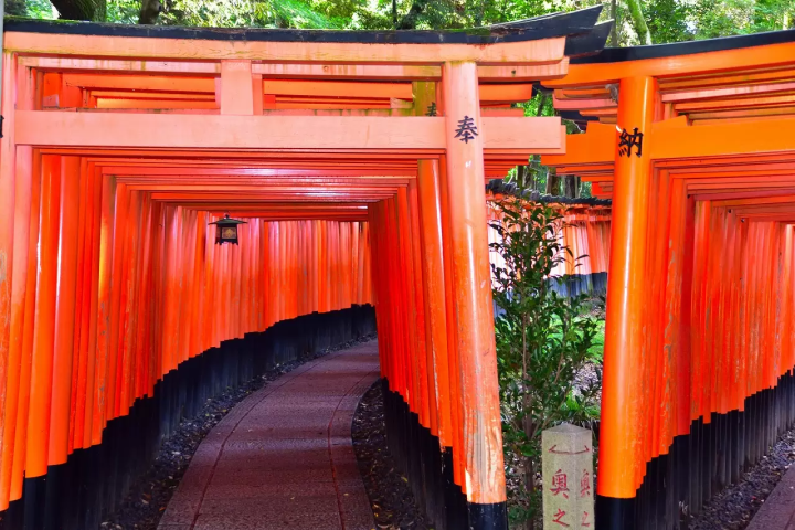 Kyoto: 15 Must-Visit Temples and Shrines