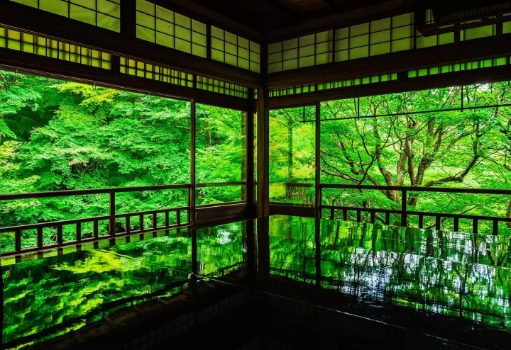 Kyoto: 15 Must-Visit Temples and Shrines