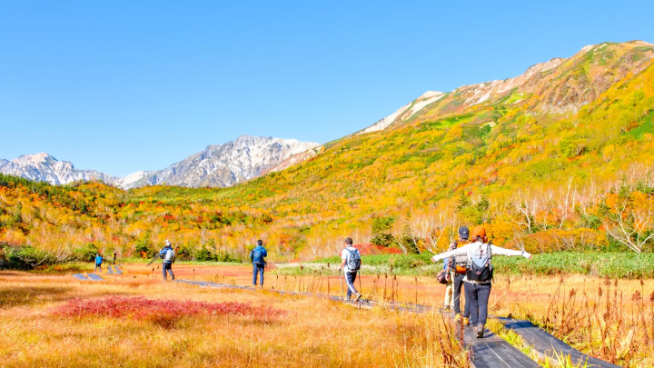 Tsugaike Nature Park