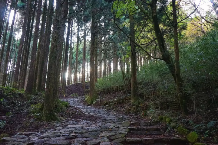Hakone Day Trip - Stunning Scenery, Nature And Souvenir Workshops