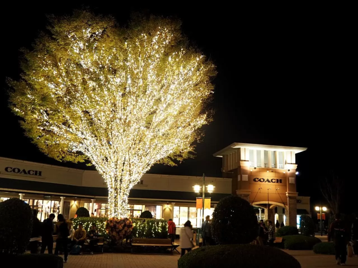 Cafés, Bamboo Forests, And Shopping In Hakone - A Relaxing Itinerary