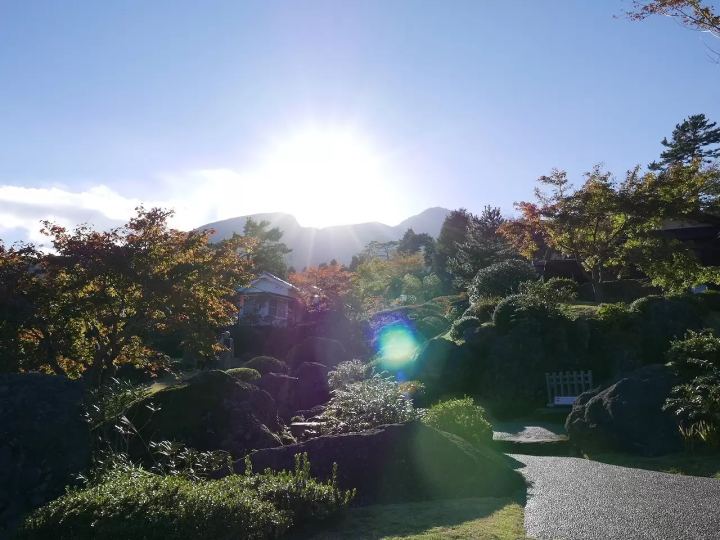 Intellectual Fun In Hakone: A Thrilling Day Trip Filled With Art