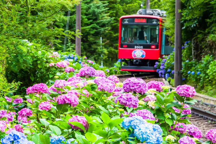 Hakone Tozan Railway