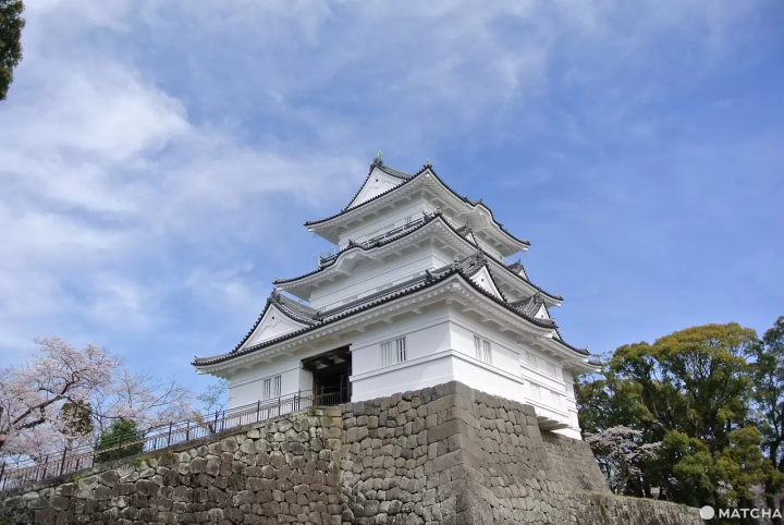欣赏美景、在大自然中散步,还可制作原创伴手礼!充满新发现的箱根当日往返之旅