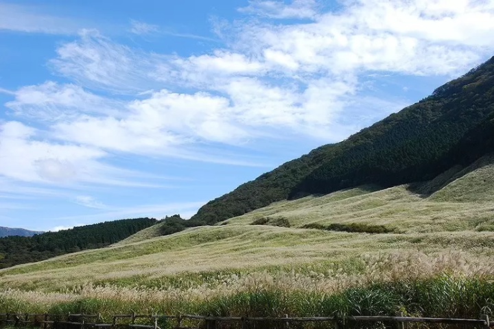 拋下豬隊友一個人去旅行！2天1夜玩箱根行程提案
