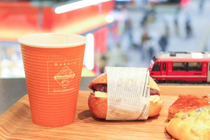 拋下豬隊友一個人去旅行！2天1夜玩箱根行程提案