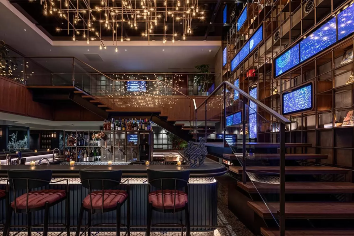 THE LIVELY 福岡博多