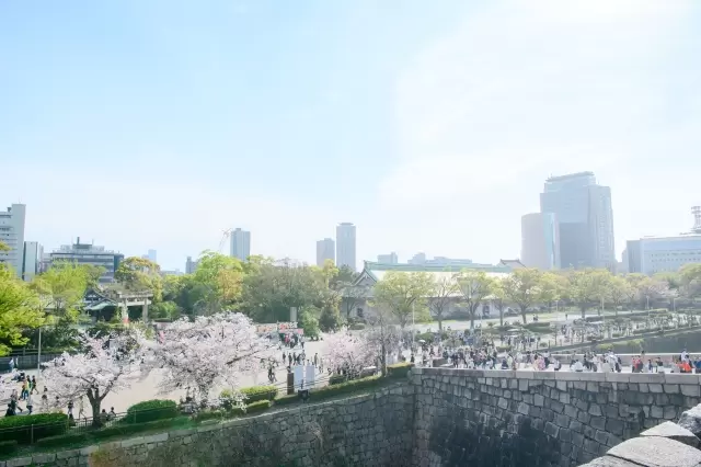 [โอซาก้า] สวนสาธารณะ 3 แห่งที่คุณสามารถเพลิดเพลินกับวิวดอกซากุระอันงดงาม ปราสาทโอซาก้า และแมกไม้เขียวขจี ไปโอเอซิสใจกลางเมืองกันเถอะ