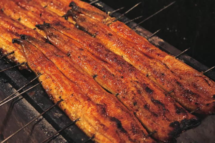 9 delicious eel and loach restaurants | Kanazawa City and Hakui City, Ishikawa Prefecture