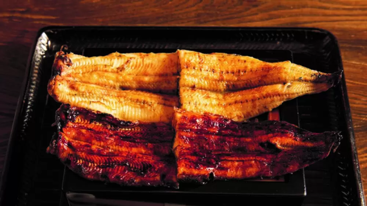 9 delicious eel and loach restaurants | Kanazawa City and Hakui City, Ishikawa Prefecture