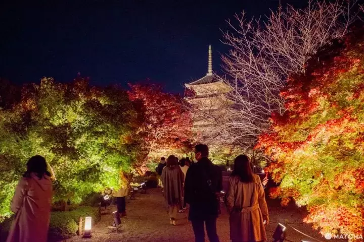 Kyoto in Autumn: Top 12 Fall Foliage Spots