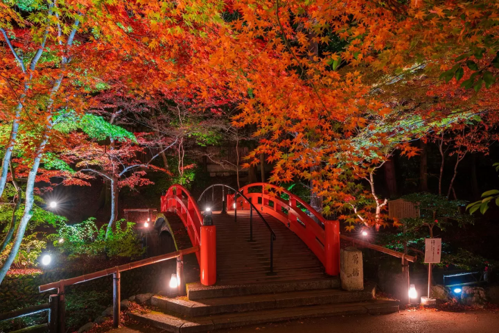 Kyoto in Autumn: Top 12 Fall Foliage Spots