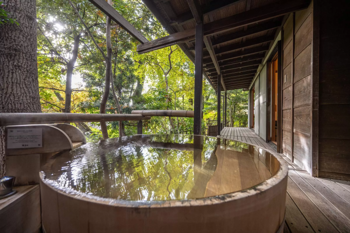 【神奈川鶴巻温泉】ジブリ映画ゆかりの旅館「元湯陣屋」で美食三昧！トトロの木に会いに行こう！