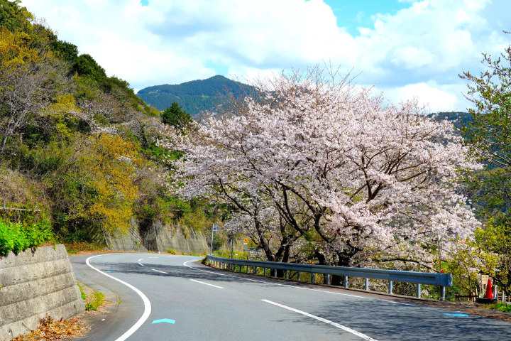 【伊豆】混雑から逃れて西伊豆・土肥を探求する