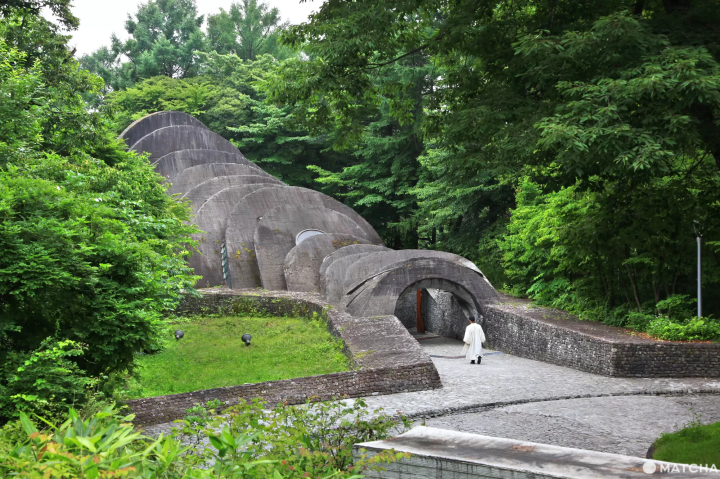  Nagano: 25 Things to Do and Travel Tips for 2023 