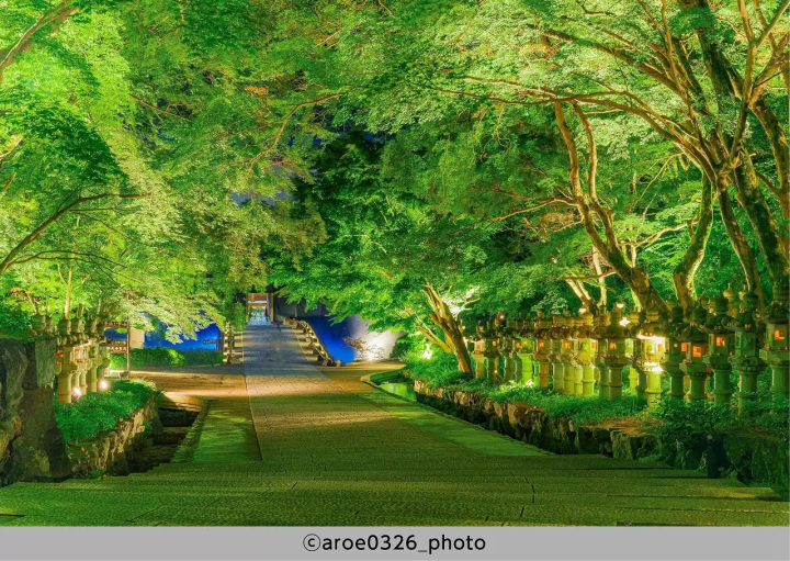 Katsuoji Temple Midsummer Night Visit 2023