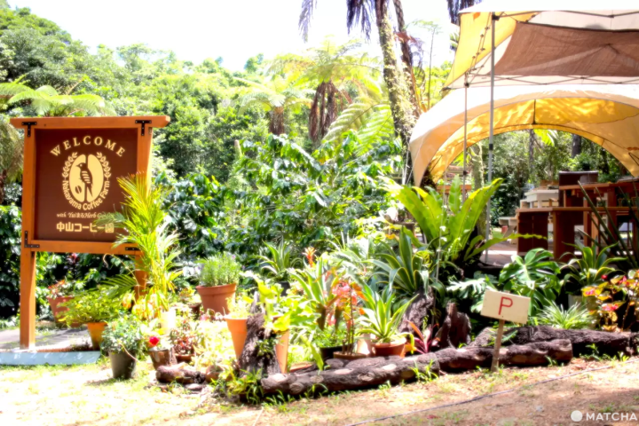 夏本番！「オリエンタルホテル沖縄リゾート＆スパ」で五感を満たす、2泊3日の子連れ旅行。