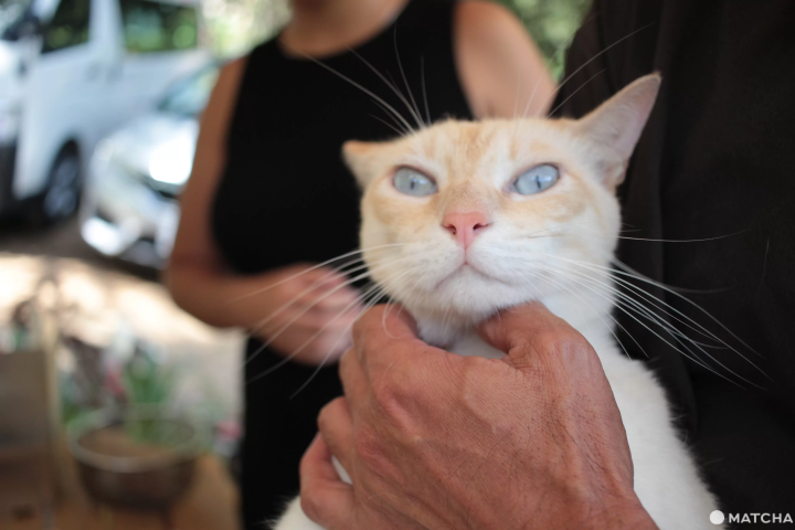 夏本番！「オリエンタルホテル沖縄リゾート＆スパ」で五感を満たす、2泊3日の子連れ旅行。